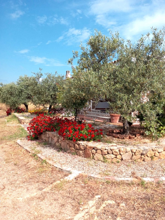Sardinien Landhaus Casa oliveto grande 2