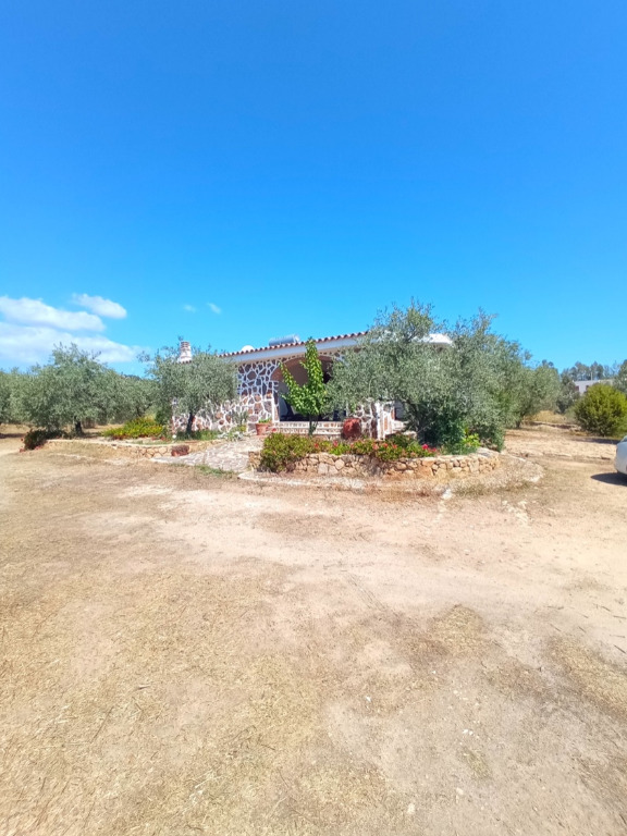 Sardinien Landhaus Casa oliveto grande 5