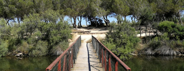 Sardinia Appartment Villa Aurora C 4