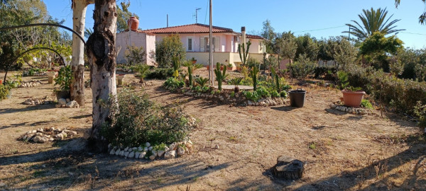 Sardinia Appartment Paolina 1 4