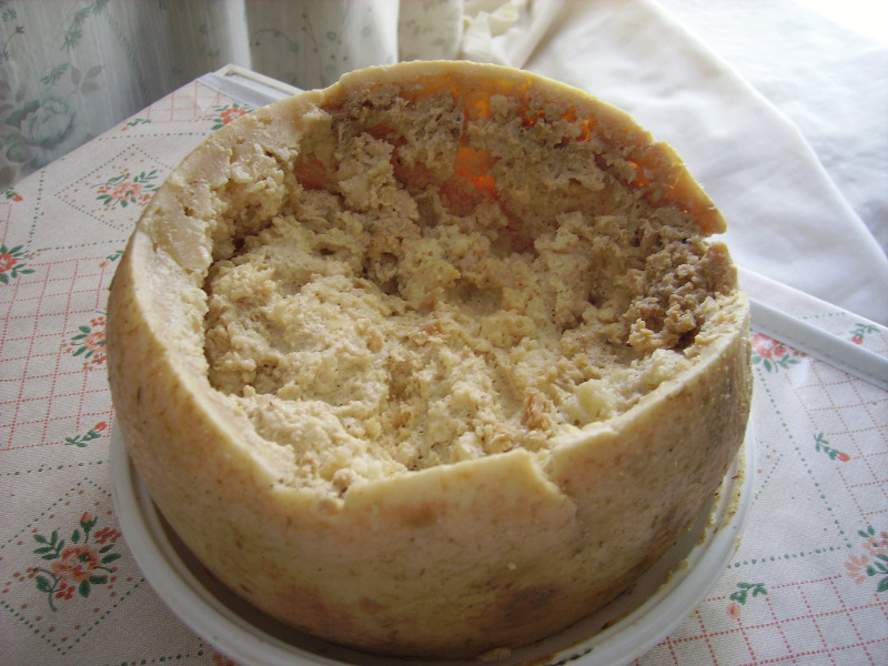 Casu marzu: Der Madenkäse