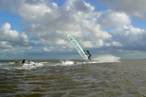 Windsurfer